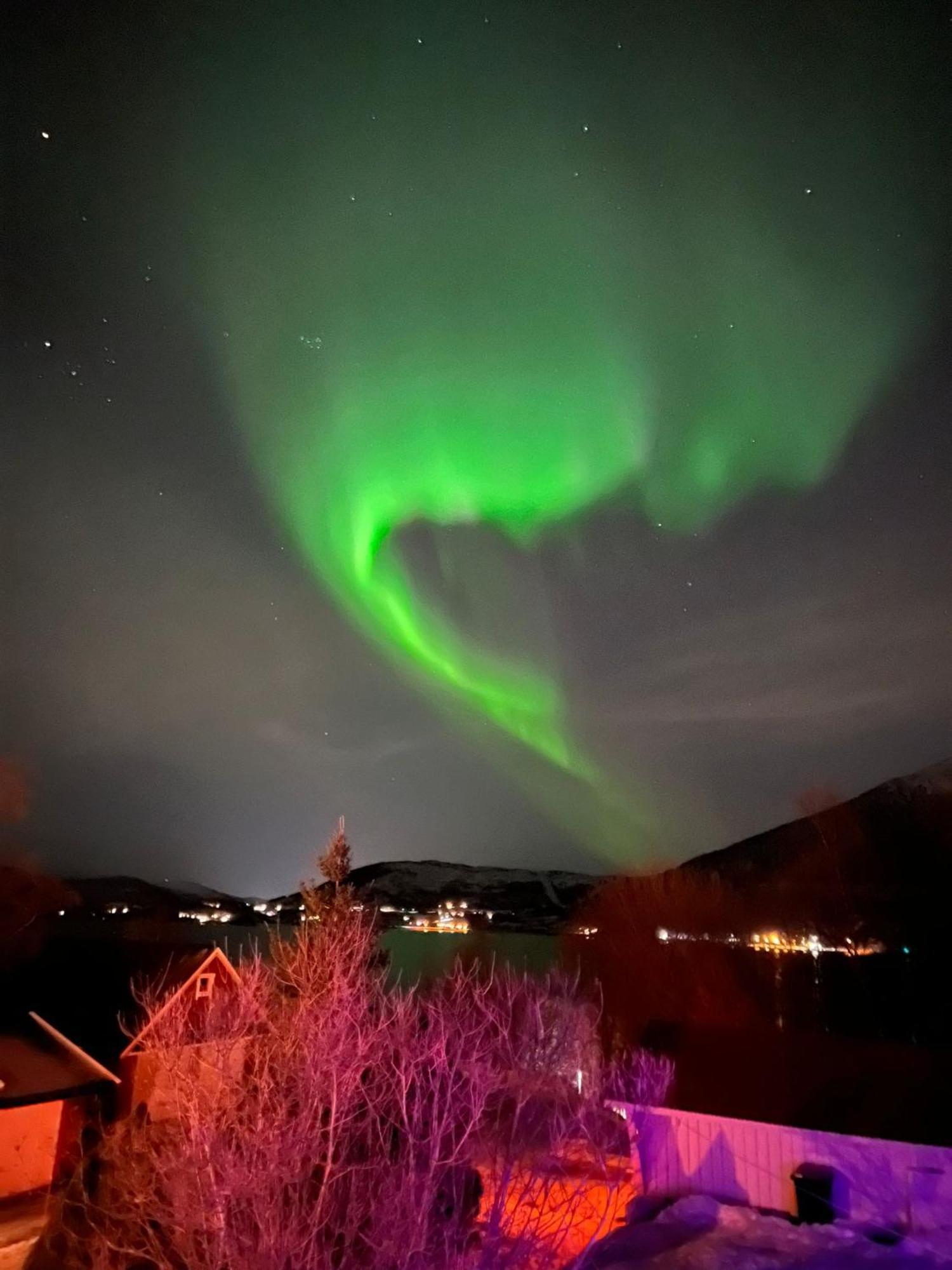 Готель Evenes Artic Glamping Evenesmarkja Екстер'єр фото